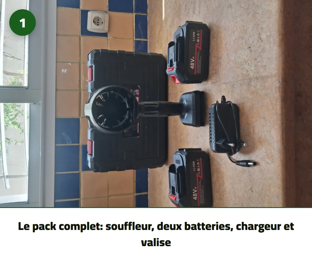 Le pack complet: souffleur, deux batteries, chargeur et valise