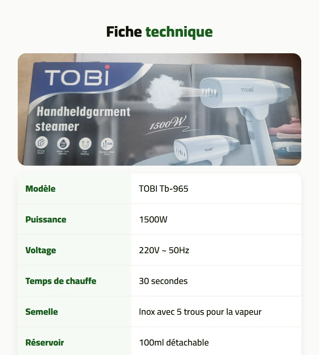 Fer à vapeur portable