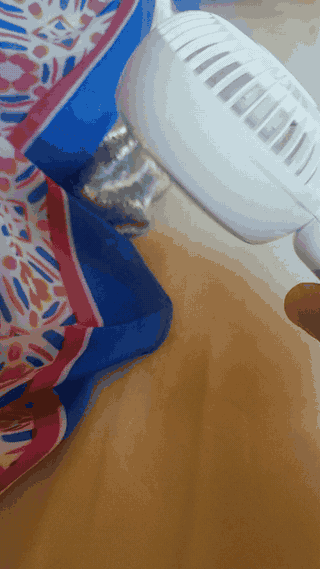 Ventilateur de poche