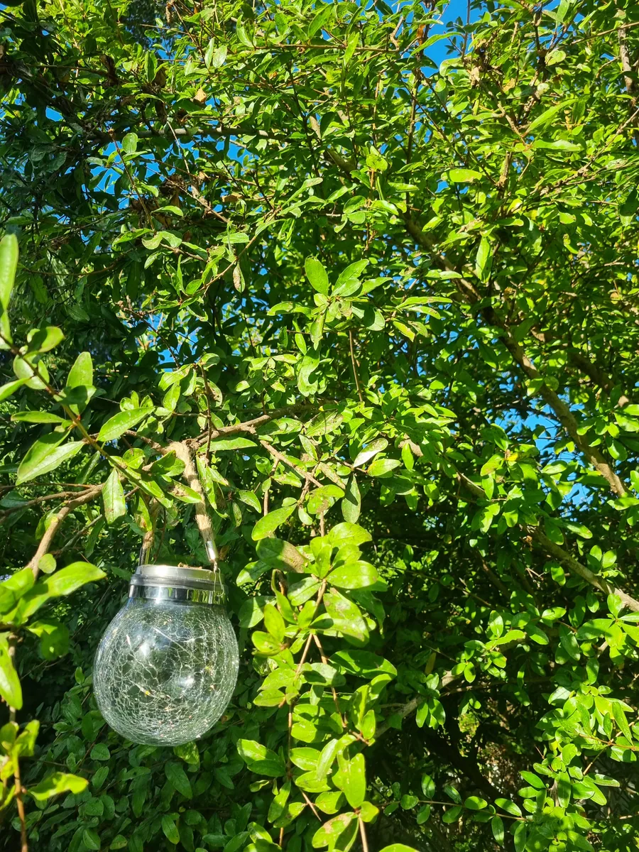 كرة الإنارة الشمسية